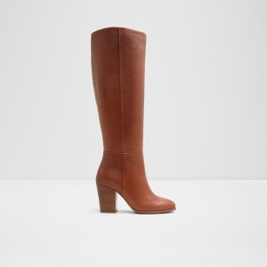Botas Hasta La Rodilla Aldo Belide Mujer Marrones | 478BSHWNQ