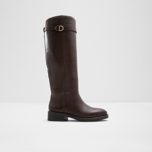 Botas Hasta La Rodilla Aldo Loreina Mujer Gris | 934NUEJDT
