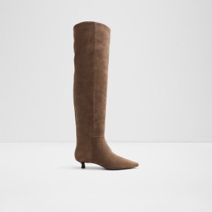 Botas Hasta La Rodilla Aldo Muttsee Mujer Marrones | 743XEDJPV