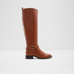Botas Hasta La Rodilla Aldo Ocynwan Mujer Marrones | 160FPDYXQ
