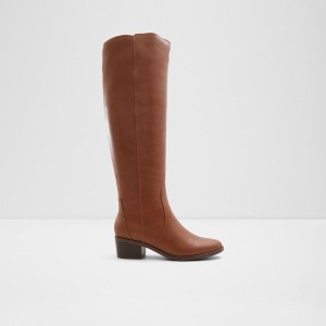 Botas Hasta La Rodilla Aldo Tanerdee Mujer Marrones | 453FHZVQN