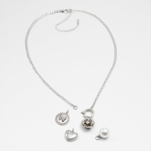 Collares Aldo Dolisa_se Mujer Plateadas Multicolor | 524SPATVJ