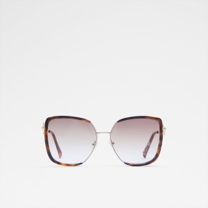 Lentes de Sol Aldo Adoriel Mujer Marrones | 802YVRZWJ