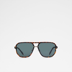 Lentes de Sol Aldo Bards Hombre Marrones | 569PRKVZE