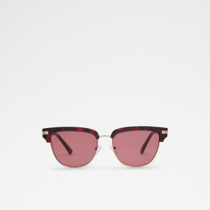Lentes de Sol Aldo Berend Hombre Burdeos | 915HMYFWT