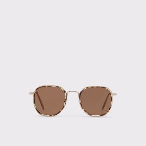 Lentes de Sol Aldo Cigolith Hombre Marrones | 591AEIDLC