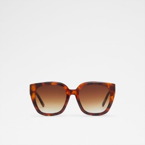 Lentes de Sol Aldo Evalin Mujer Marrones | 926JVNEFB