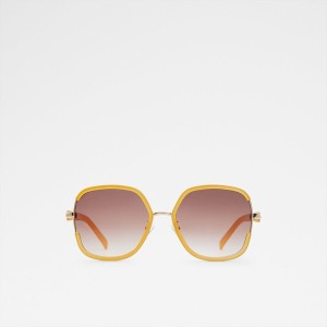 Lentes de Sol Aldo Fedien Mujer Marrones | 965WPCUQB