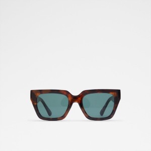 Lentes de Sol Aldo Frycia Mujer Marrones | 568MTDFVH