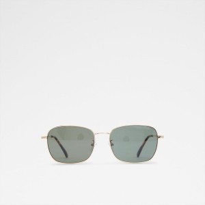 Lentes de Sol Aldo Kaaliven Hombre Doradas | 640CLQVUO