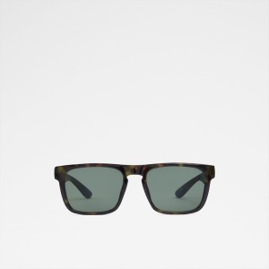 Lentes de Sol Aldo Legecien Hombre Kaki | 059JDVKIB