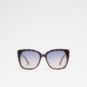 Lentes de Sol Aldo Meralalden Mujer Marrones | 527PWJHST