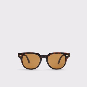 Lentes de Sol Aldo Nydigow Hombre Marrones | 259EDFNGM