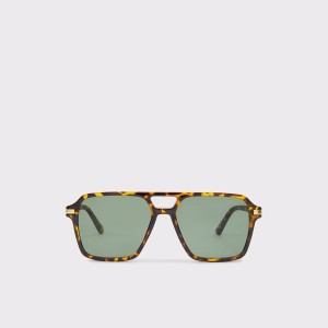 Lentes de Sol Aldo Parlo Hombre Marrones | 309OYJWKE