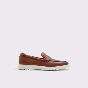Mocasines Aldo Bacary Hombre Marrones | 936EMHWDL