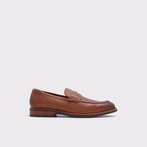Mocasines Aldo Darius Hombre Marrones | 751OTPBMR
