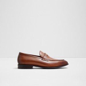 Mocasines Aldo Darris Hombre Marrones | 238FXSNKI