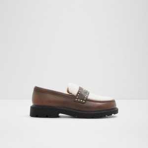 Mocasines Aldo Harmonyx Mujer Marrones Oscuro | 079TDGORV