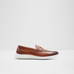 Mocasines Aldo Hector Hombre Marrones | 436UWNYCF