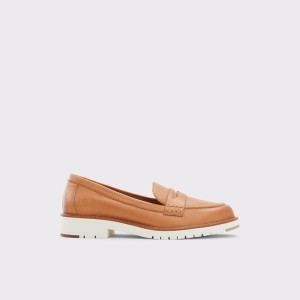 Mocasines Aldo Ibreda Mujer Marrones | 031KALOVF