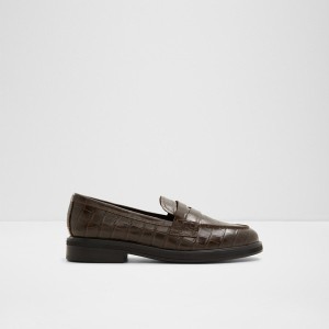 Mocasines Aldo Lededanten Mujer Marrones | 489HKWPTL