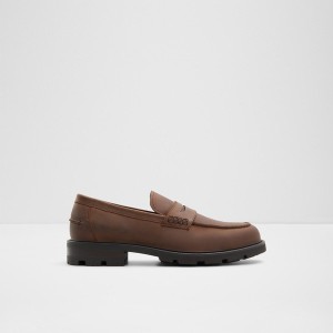 Mocasines Aldo Reis Hombre Marrones | 106ZTKVNS