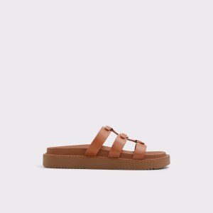 Sandalias Aldo Mariesoleil Mujer Marrones | 273FZOWRV