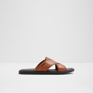 Sandalias Aldo Olino Hombre Marrones | 927ASGMNB