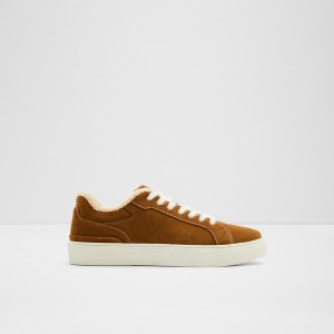 Zapatillas Aldo Willio Hombre Marrones | 125OZHTSN