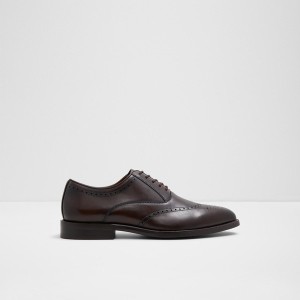 Zapatos Oxford Aldo Donald Hombre Marrones Oscuro | 186HTNLPO