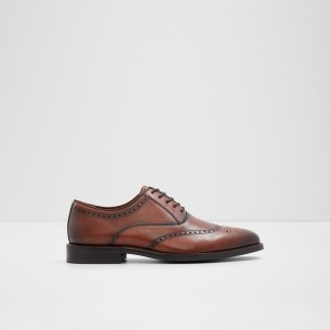 Zapatos Oxford Aldo Donald Hombre Marrones | 564FIKTGQ