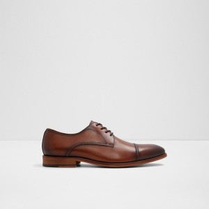 Zapatos Oxford Aldo Drayson Hombre Marrones | 831ZGBCDO