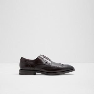 Zapatos Oxford Aldo Edgar Hombre Marrones Oscuro | 571JCXVKN