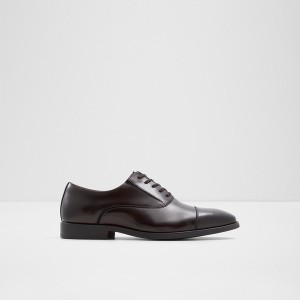 Zapatos Oxford Aldo Paxley Hombre Marrones Oscuro | 634LGJUSC