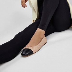 Zapatos Planos Aldo Braylynn Mujer Beige | 245ZYANKX